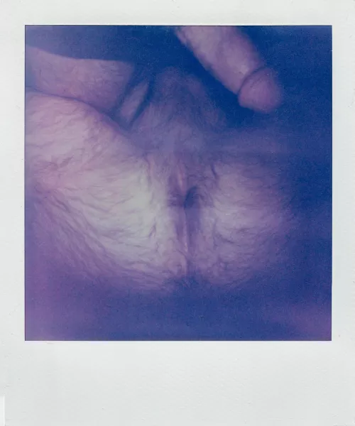 I took a polaroid of my hairy hole