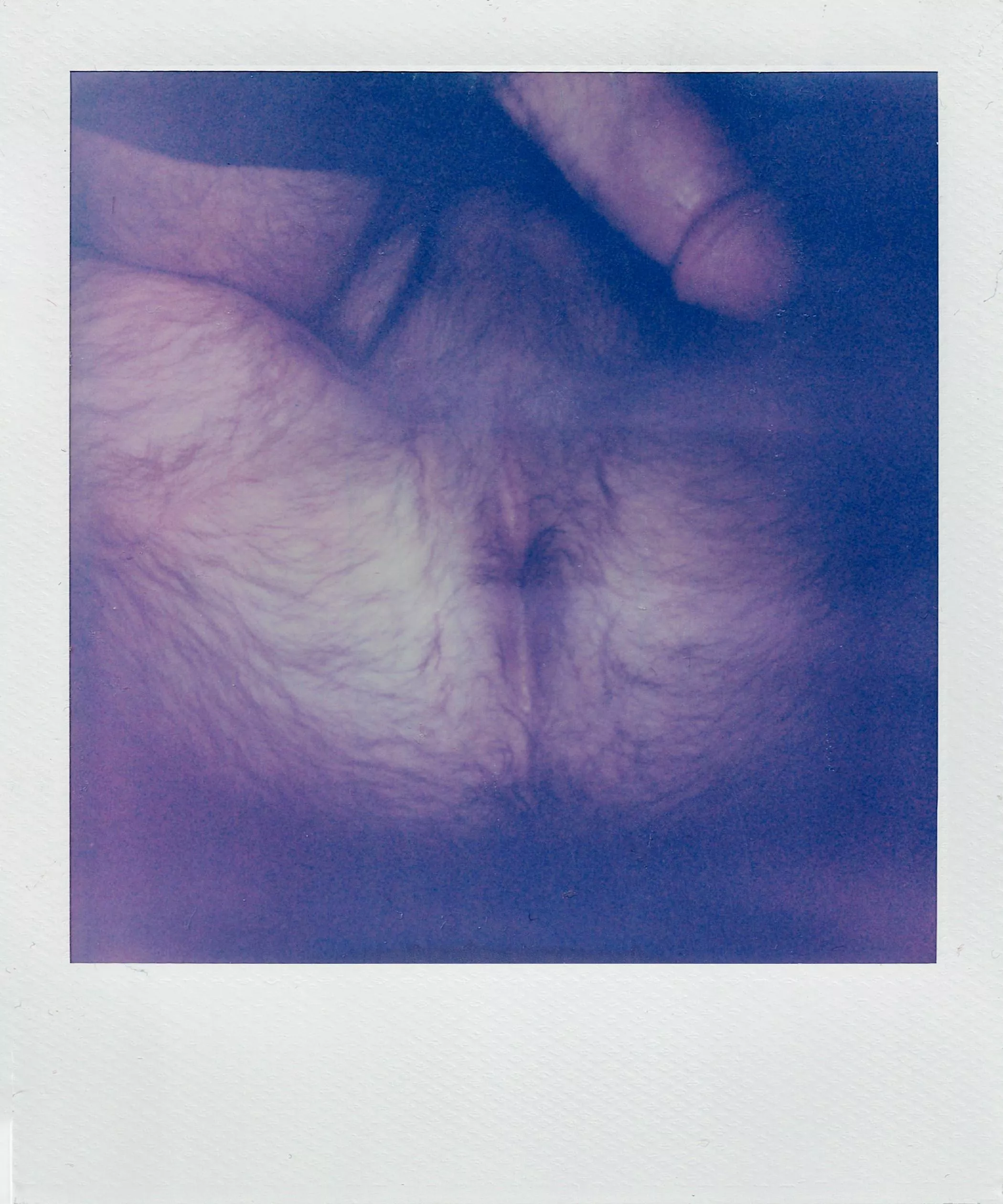 I took a polaroid of my hairy hole