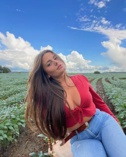 in the field