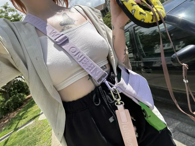 It’s a beautiful day to walk the dog