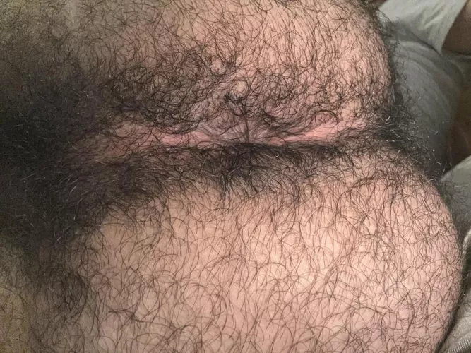 my hairy middle eastern hole (23)