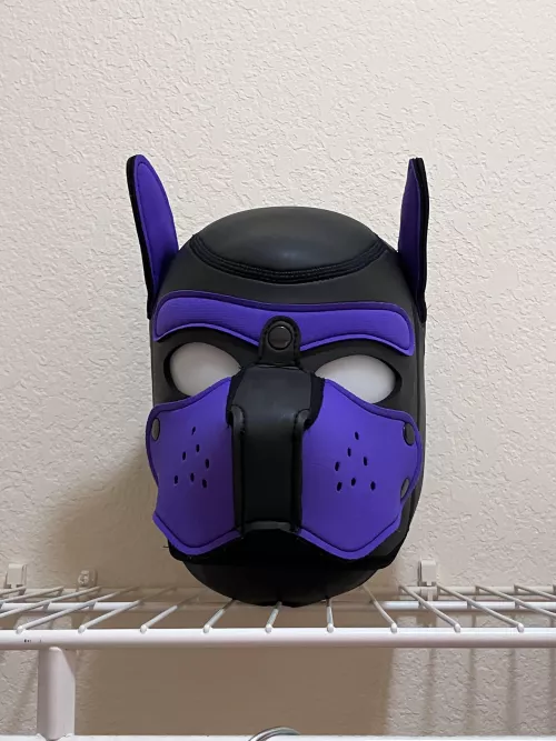 Pup’s in the closet