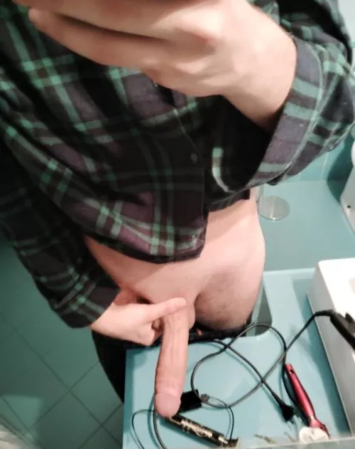 The italian stallion