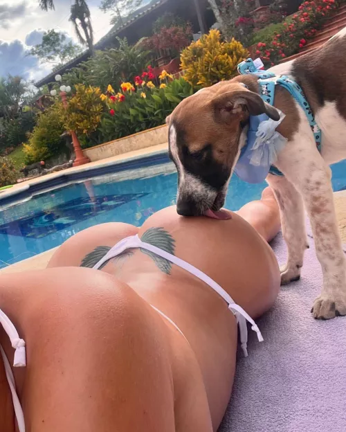 Want to be that puppy so bad 