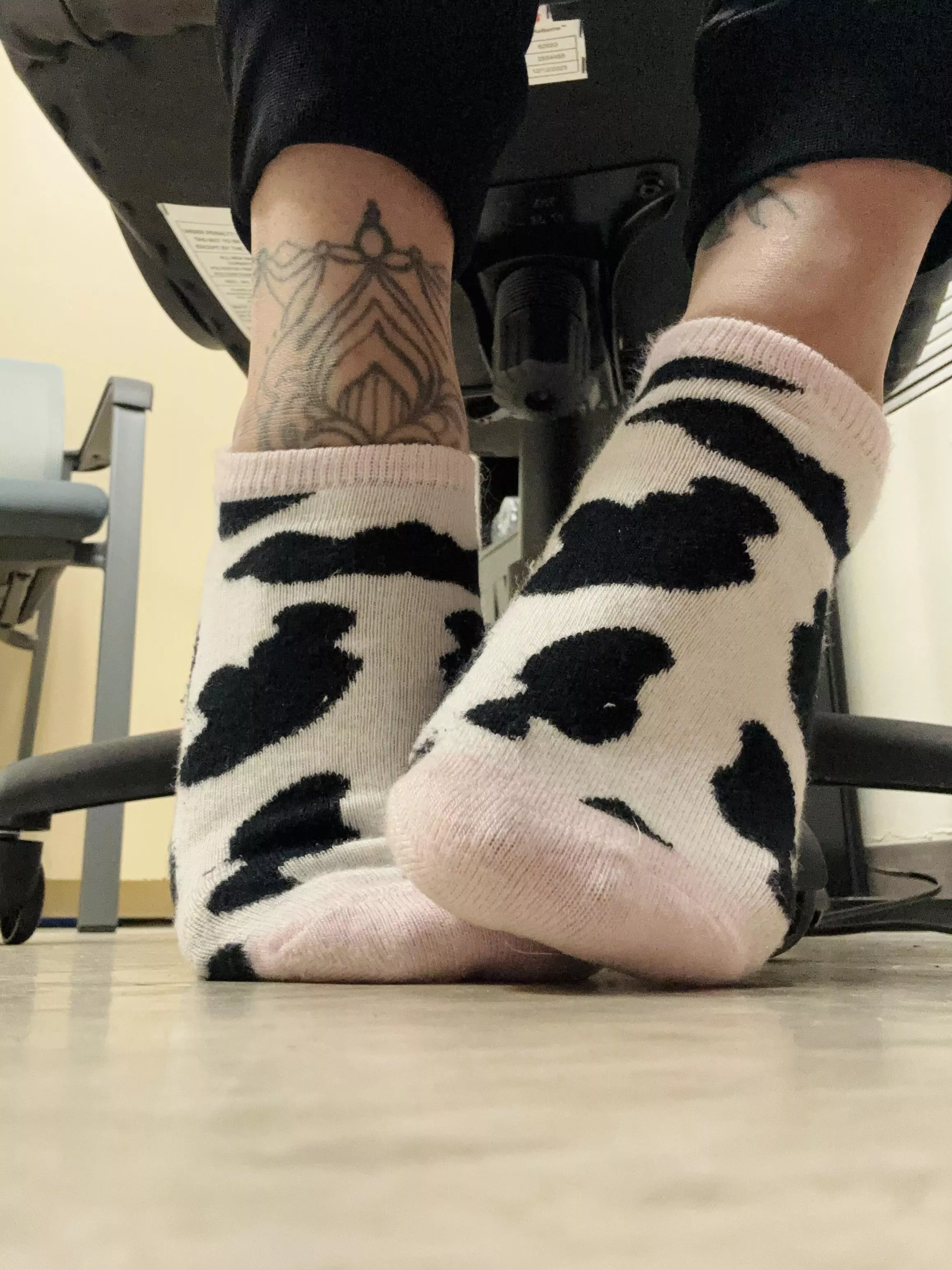 Work socks 