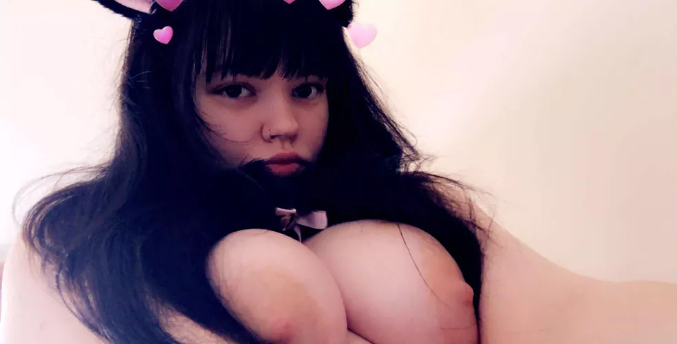 Am i a Pretty Kitty? 🙈