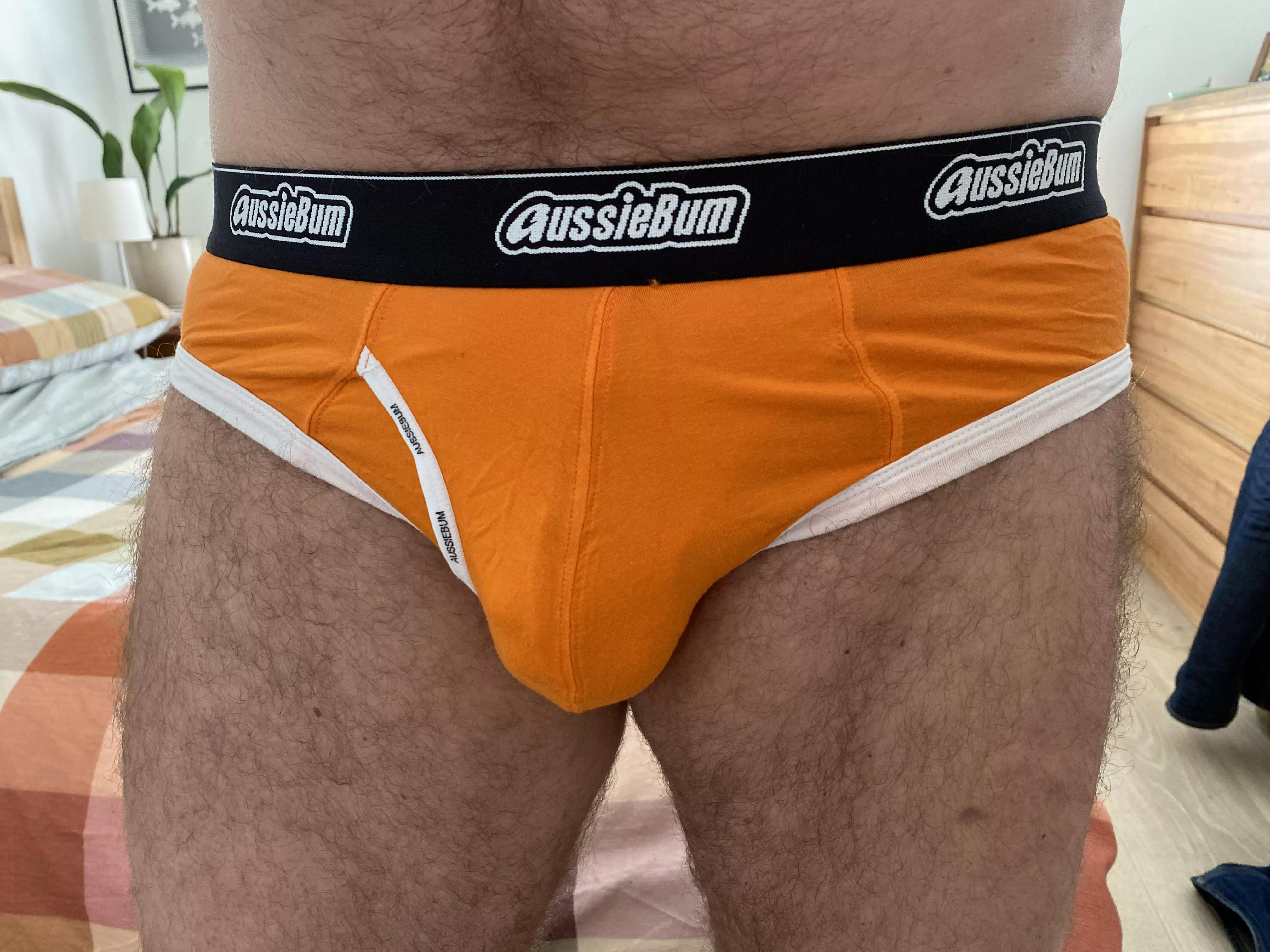 an aussie in orange aussies 