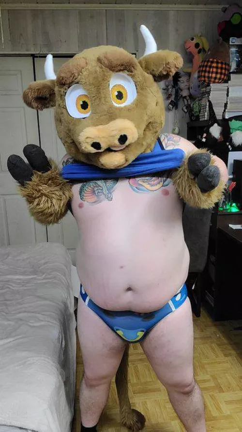 Buster Wearing Blue Bull Undies