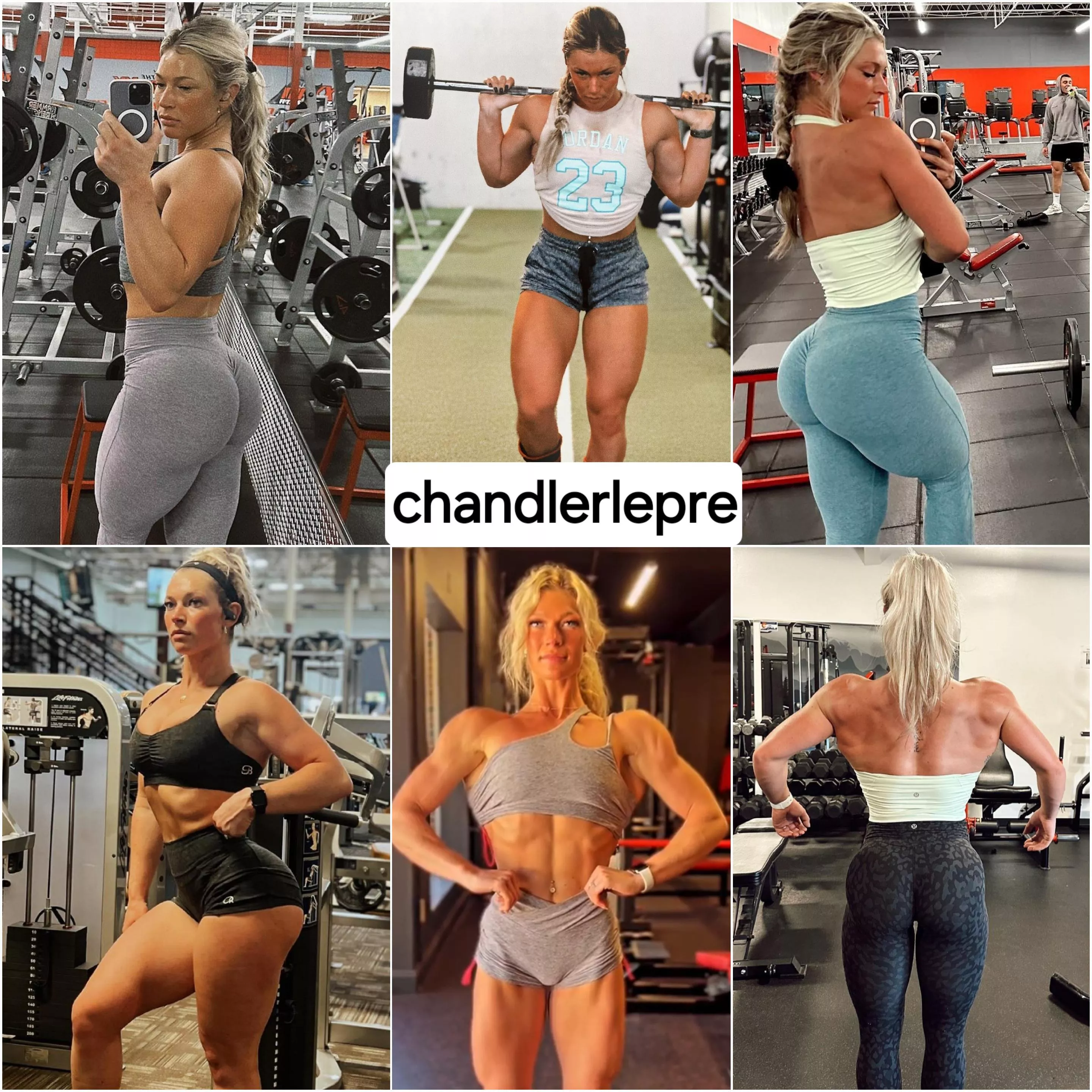 Chandlerlepre