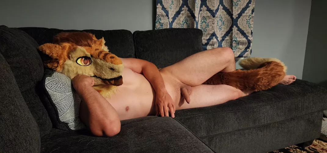 Come cuddle with me please 🥺