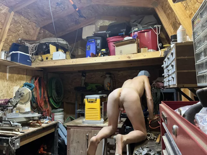 Entering a shed and seeing this. What will you be doing?