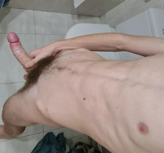 Happy 4th of July!🎆