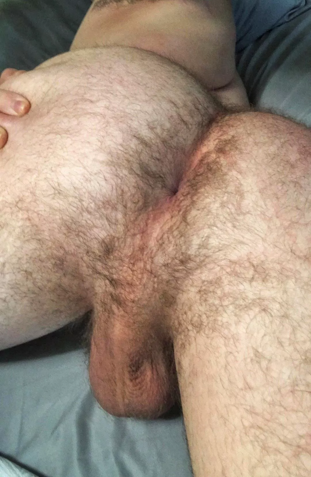 My hairy ass for everyone