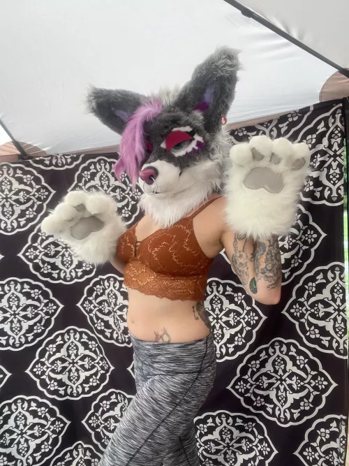 Rawr, Yoga and beans✨🐾🪷🐾✨