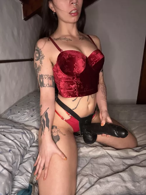 Just imagine our first day: me in my red lingerie with a monster black cock, is that perfection?