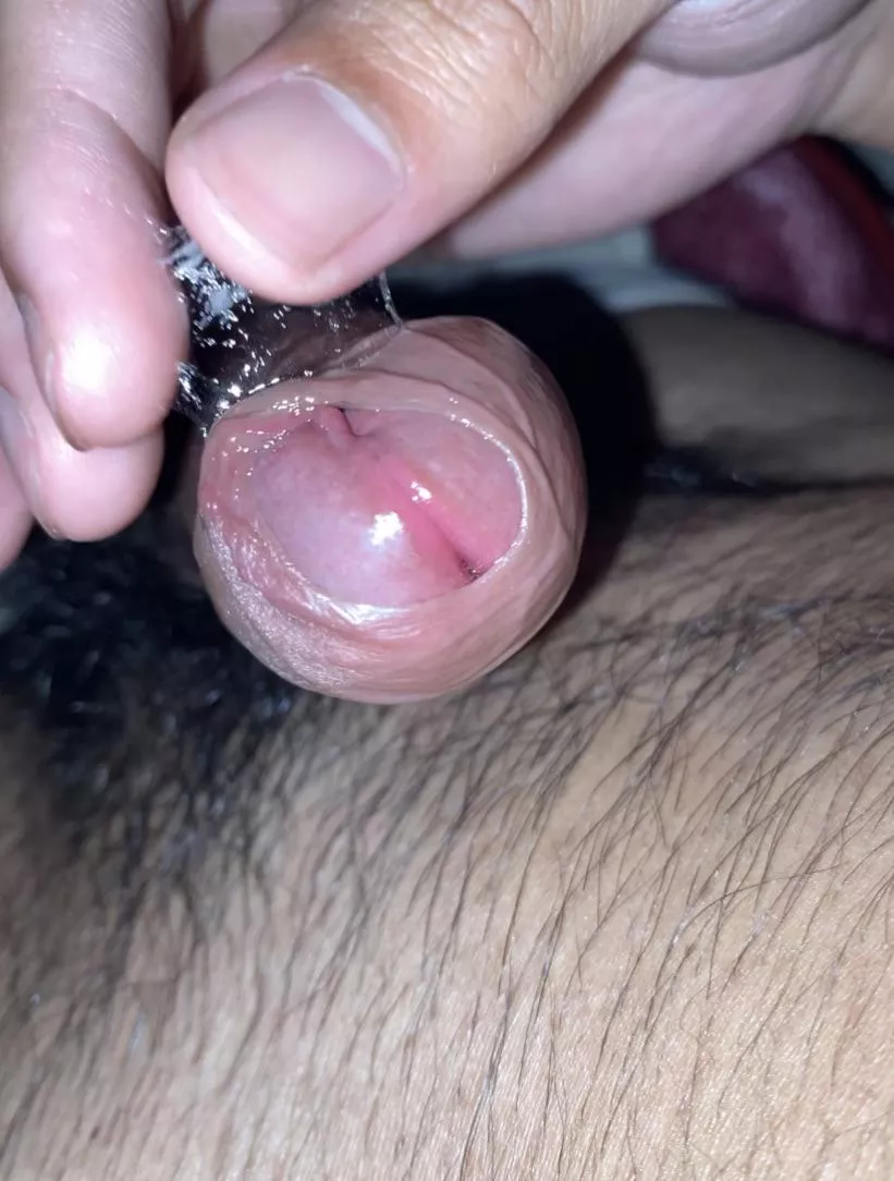 My Filipino cock is like an aloe very plant (20)