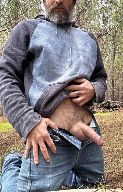 Out for a walk in the woods today 