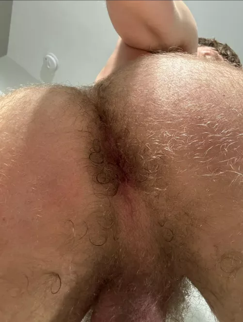 wanna smell and eat my hairy hole?