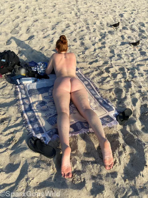 Caught in the wild... beach edition