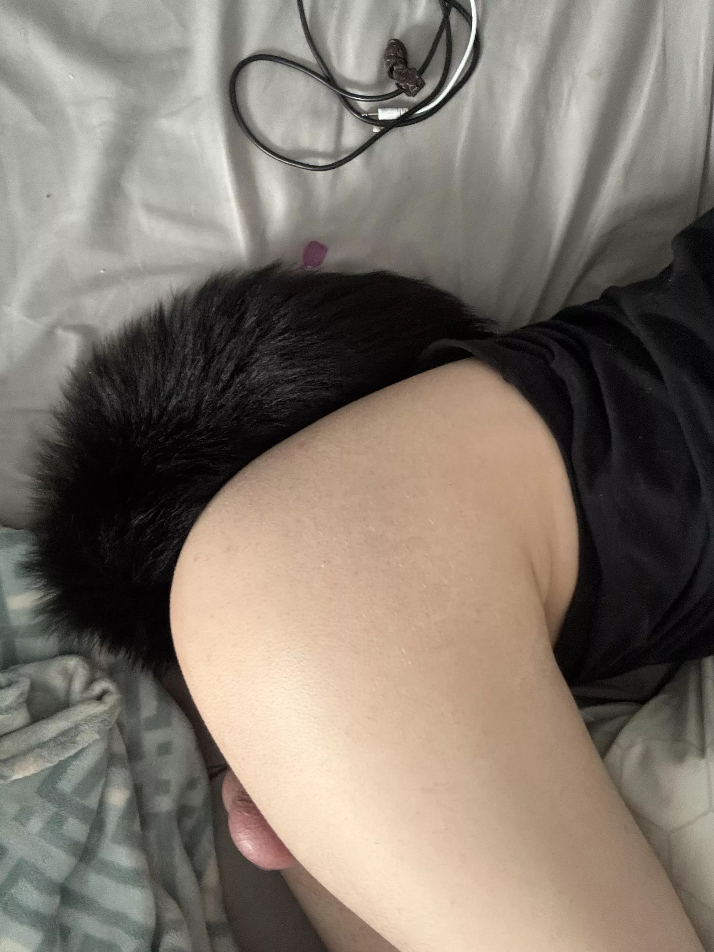 Feeling like a pathetic little puppyslut with my tail in and my cage on :3