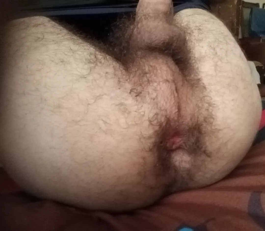 furry balls 