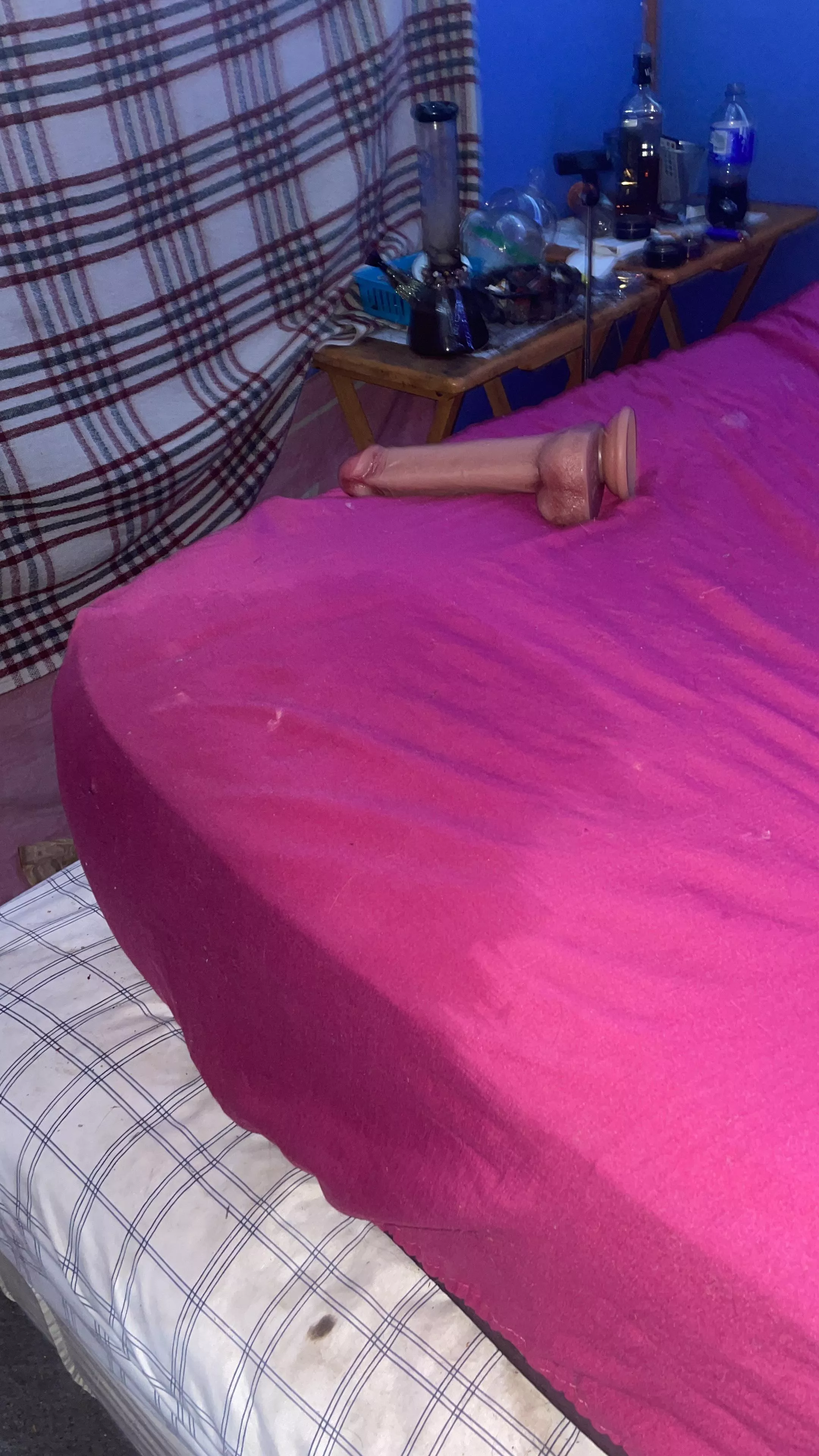 Queen squirted