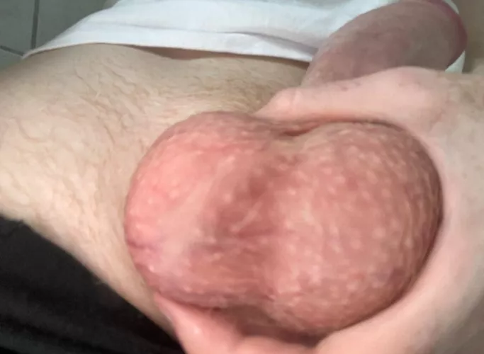 would you like them in your mouth?