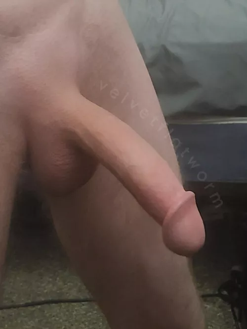 Do I have a pretty cock?