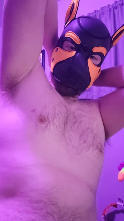 Feeling good today woof!