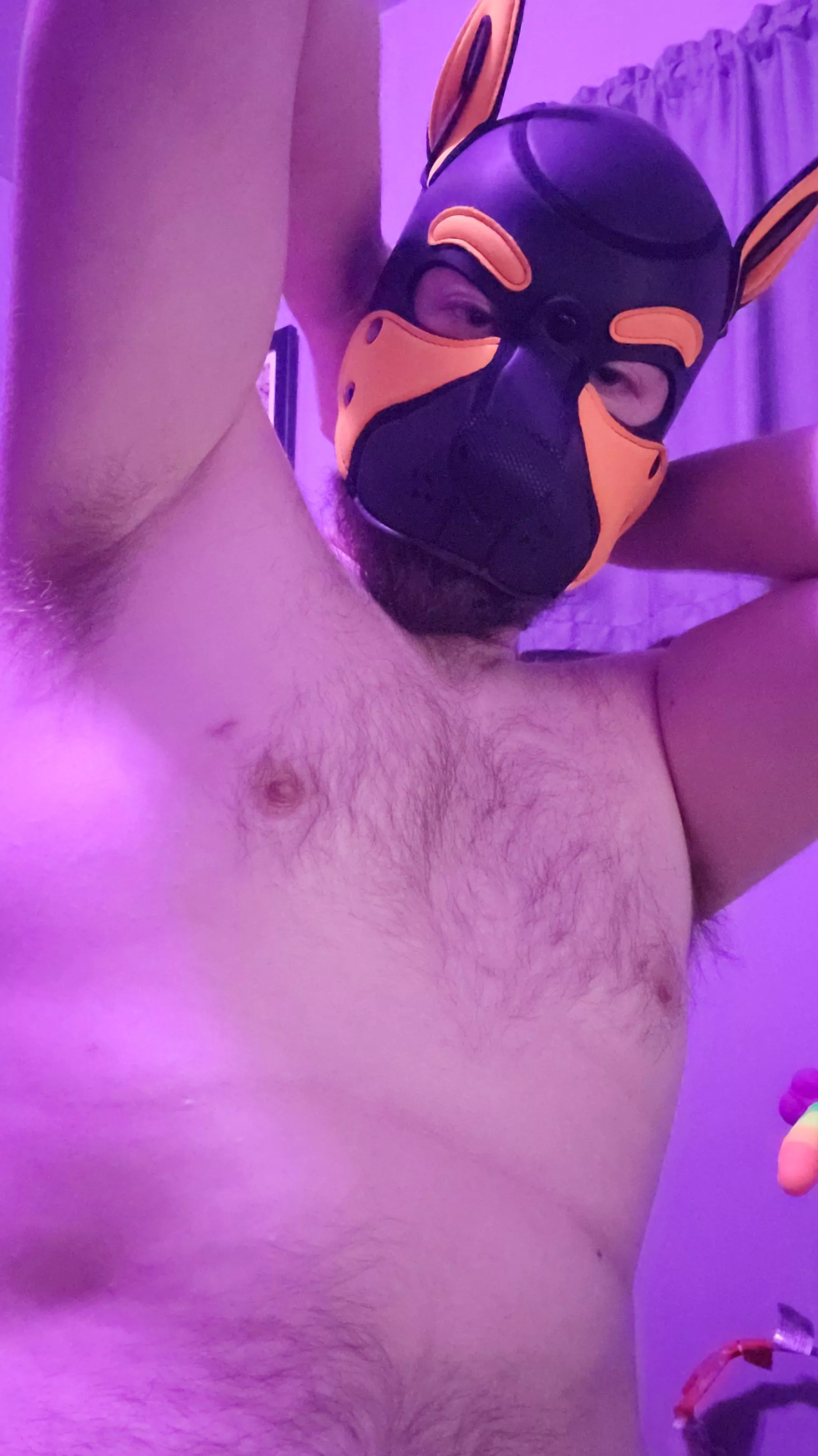 Feeling good today woof!
