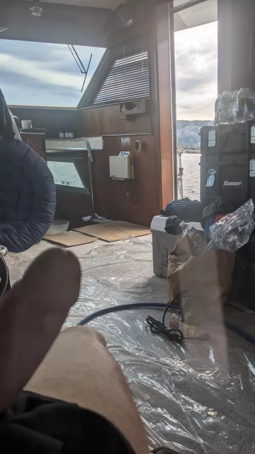 Morning wood on the boat 