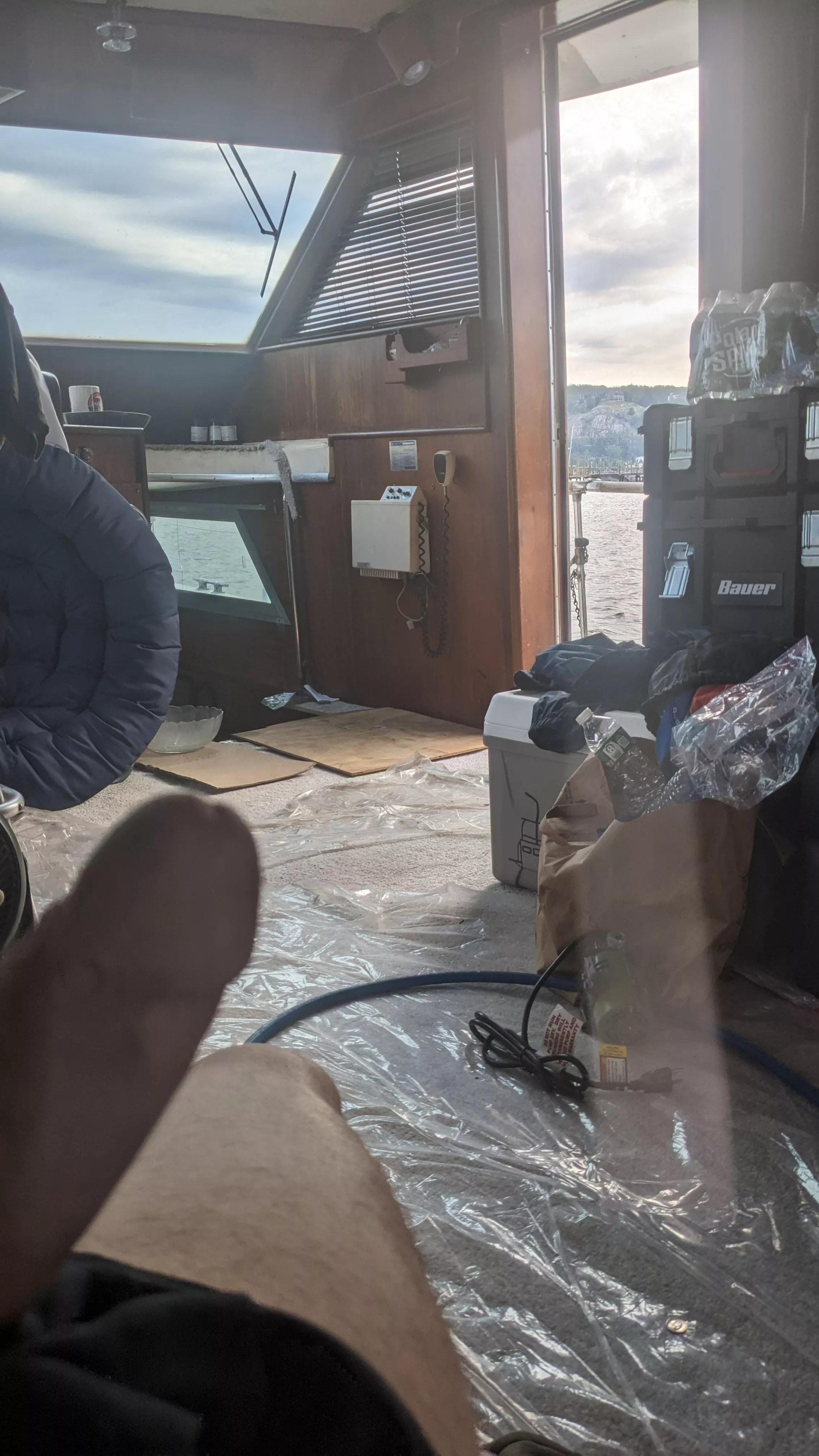 Morning wood on the boat 