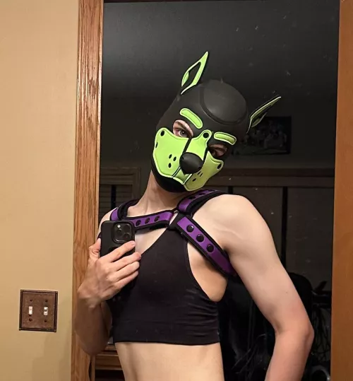 Pupper has a propostion