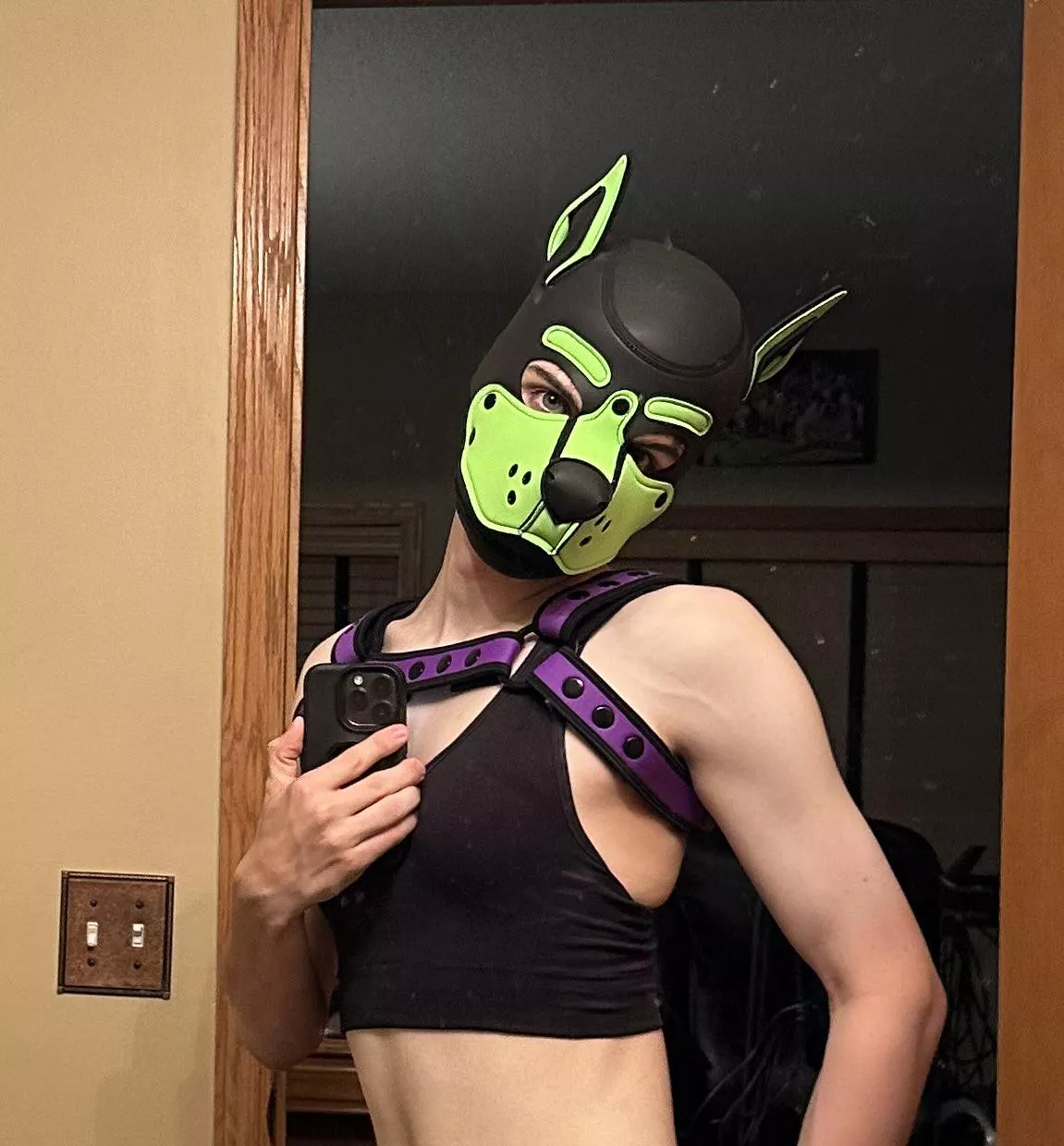 Pupper has a propostion