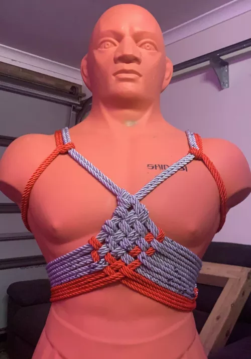 Something I randomly did to pass time in between sets at the home gym