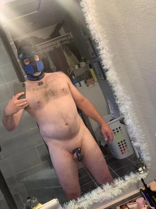 This pup is ready for obedience training! 🐶😈