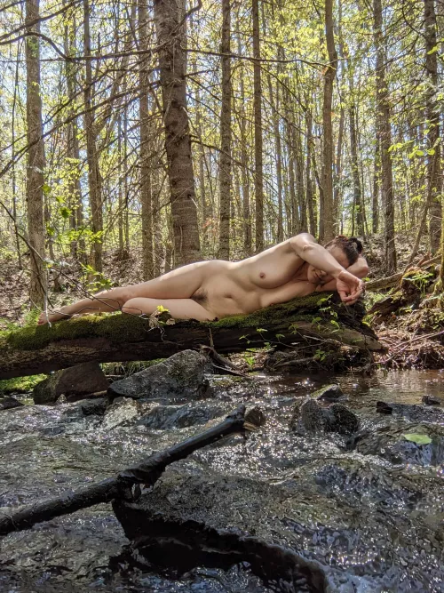 What a day for a daydream.... 