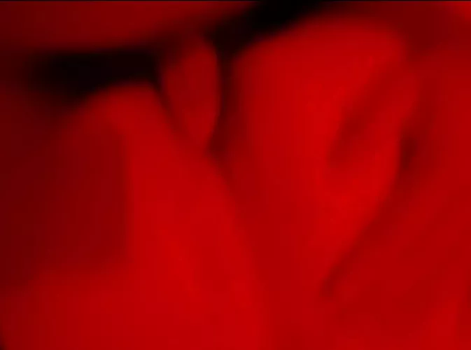 dl dude in my dorm said to be lights out, face down ass up😈