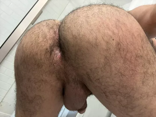 How’s the view? Would you breed me 🙊