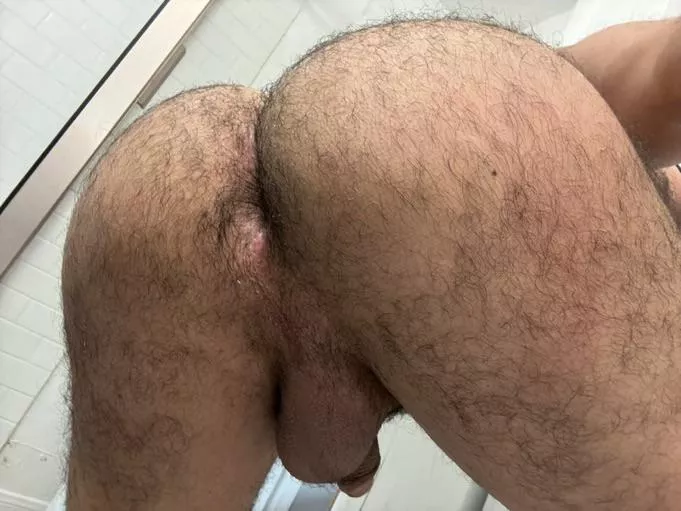 How’s the view? Would you breed me 🙊