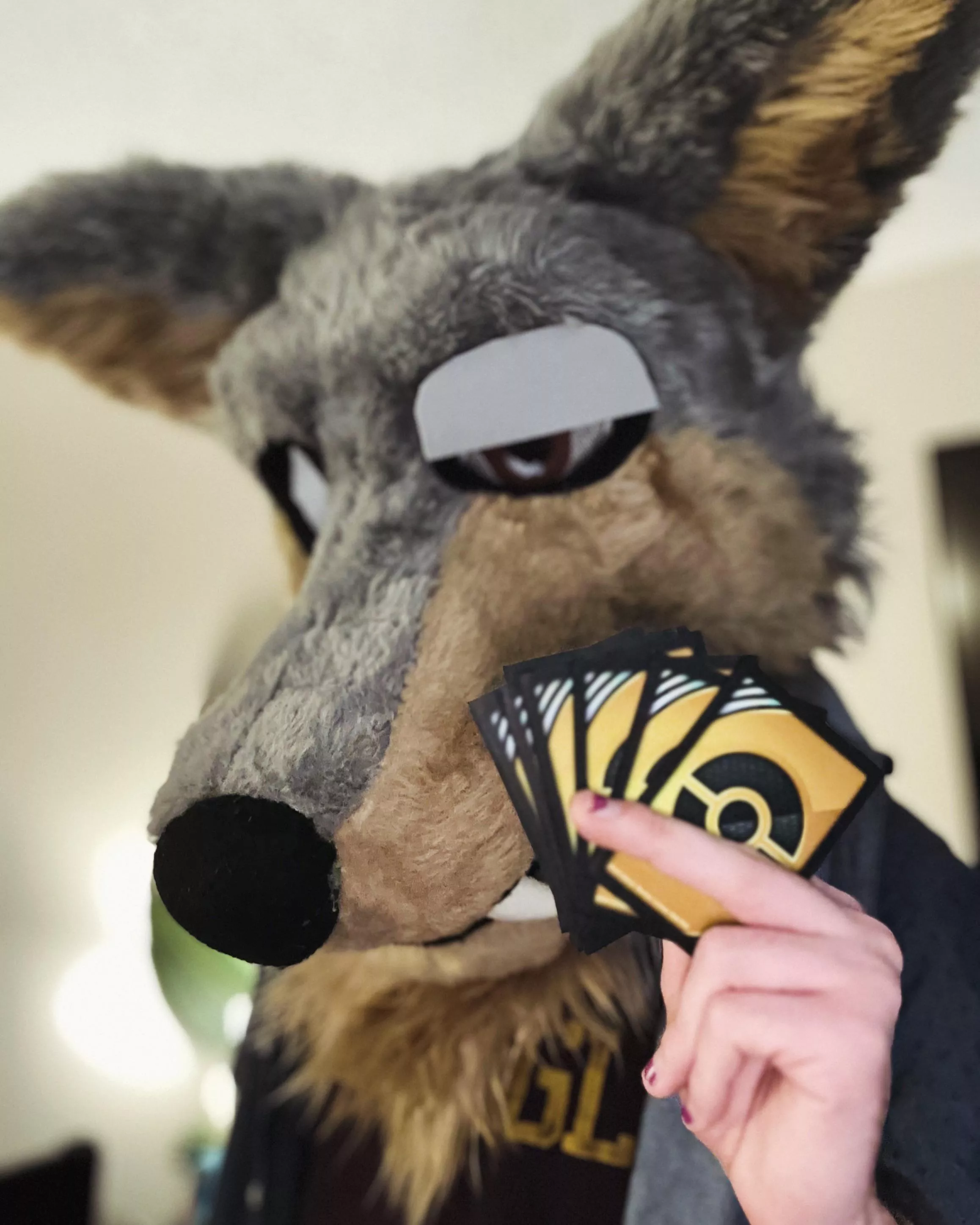 It’s time to duel!! What card games do you all play?