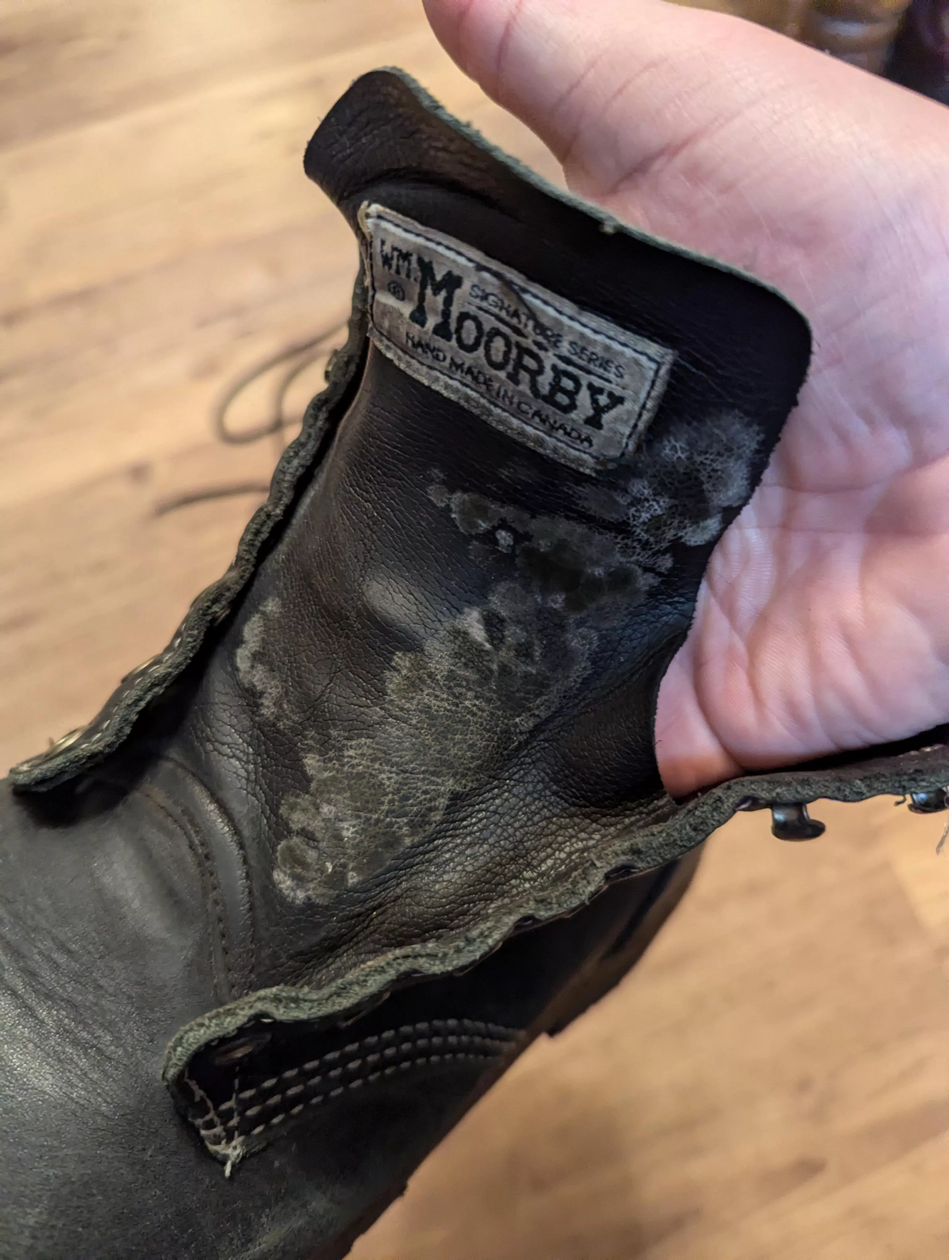 This is a first, Mold on tongue after taking kiltie out.