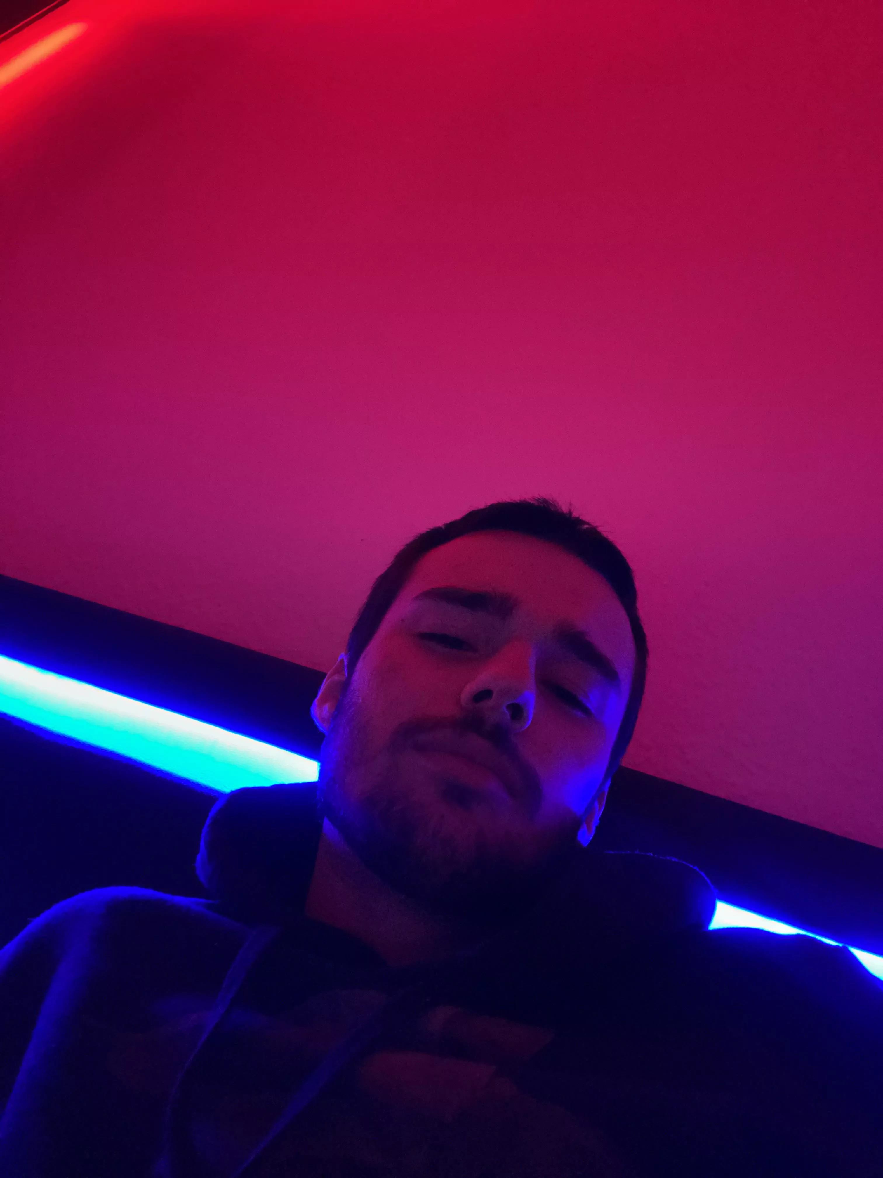 Who’s coming for evening cuddles? Who’s coming for evening cuddles?