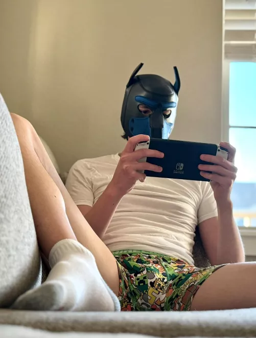 Can you guess what game this puppy is playing?