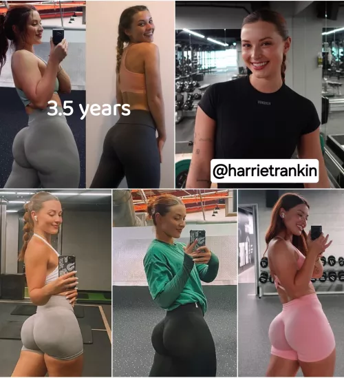 Harrietrankin