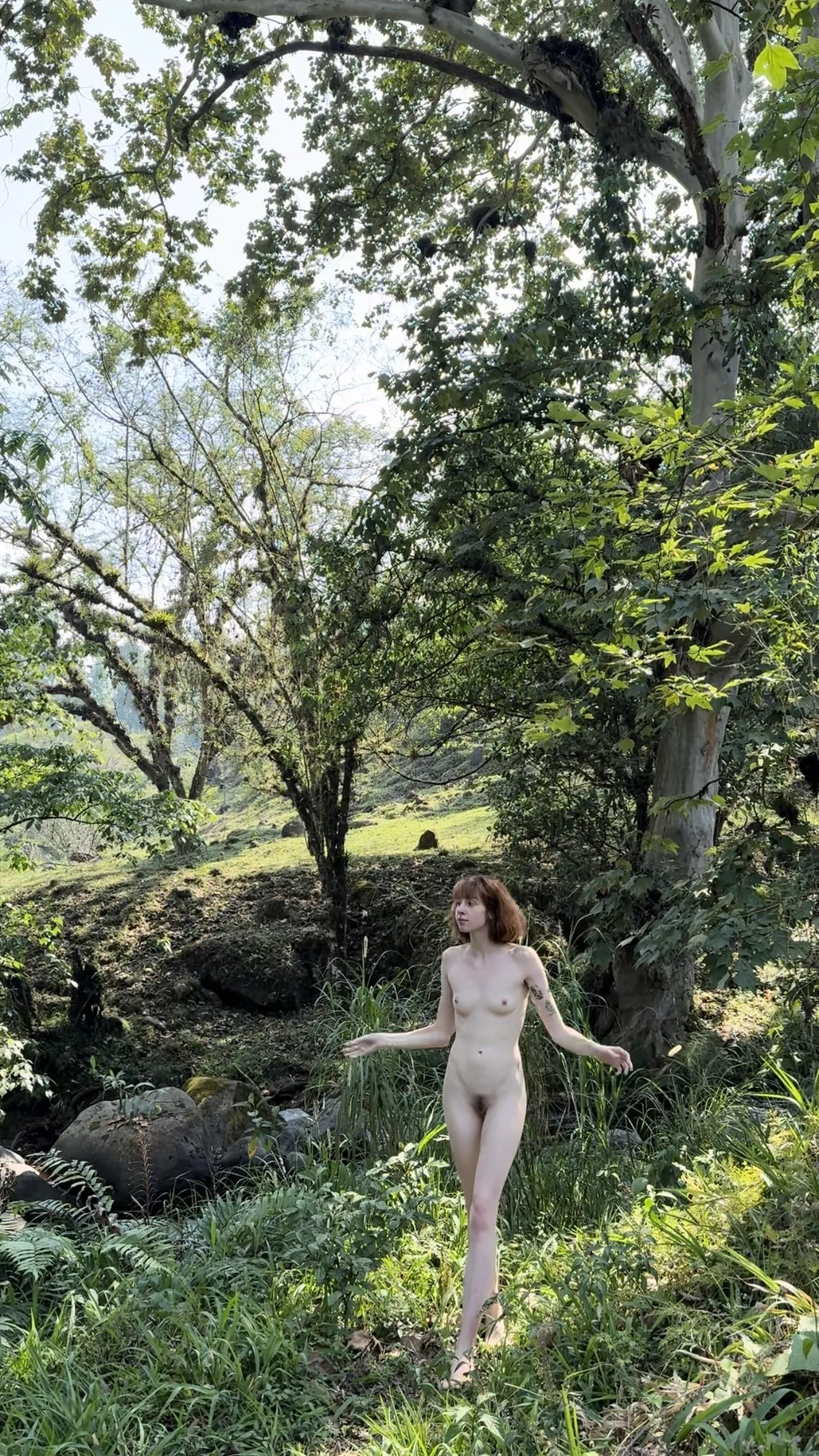 I need found my tribu 