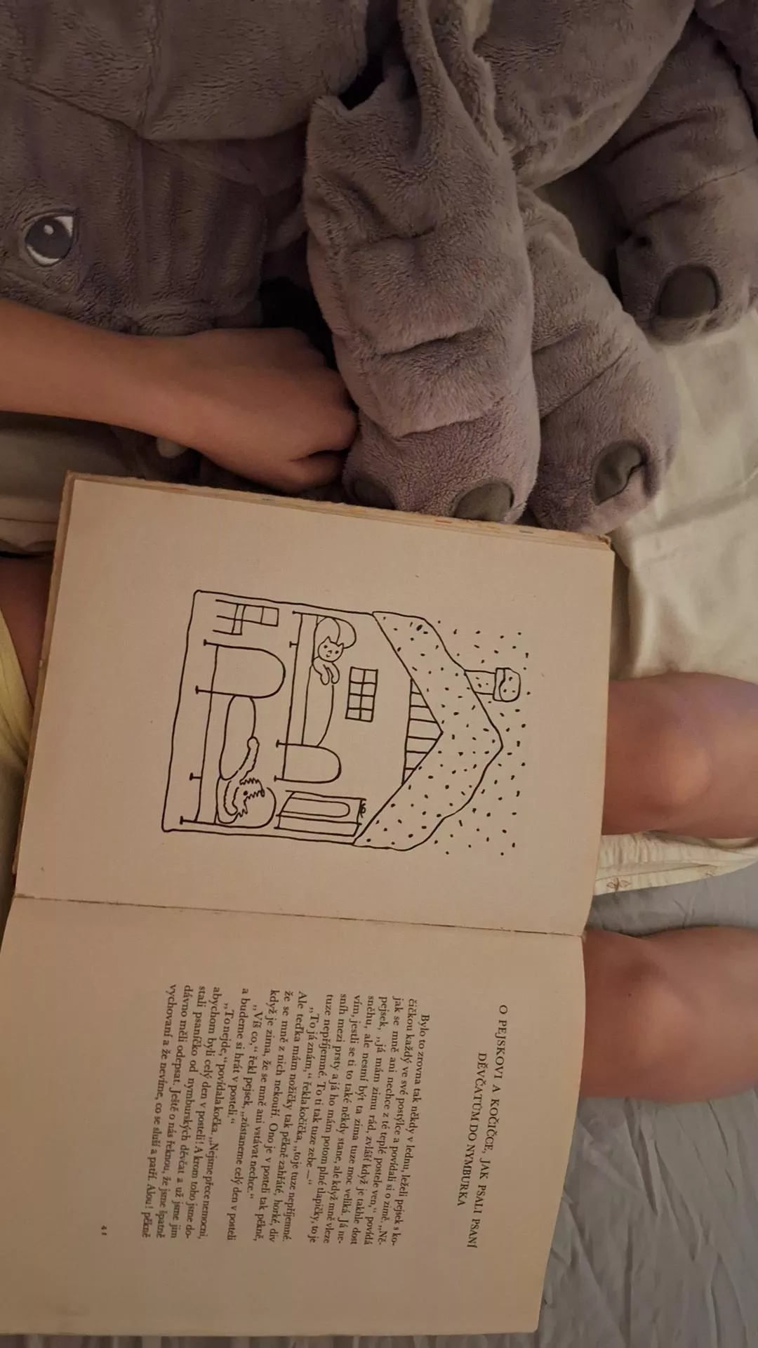 Learning to read (again) 🍓📖🐶 my first post everrr