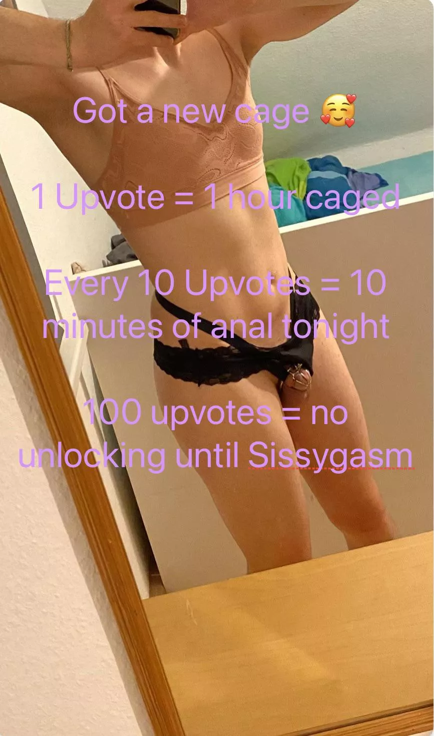 Make me use my new cage please 🥰