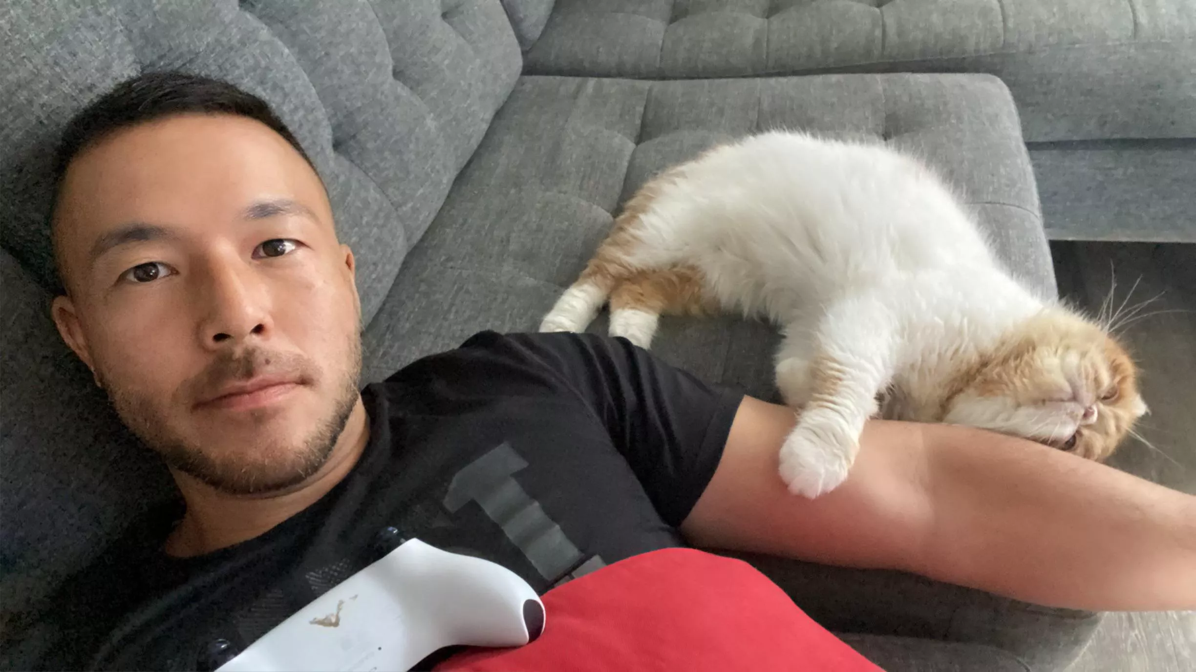  My cat wants me to pay attention to him instead of gaming