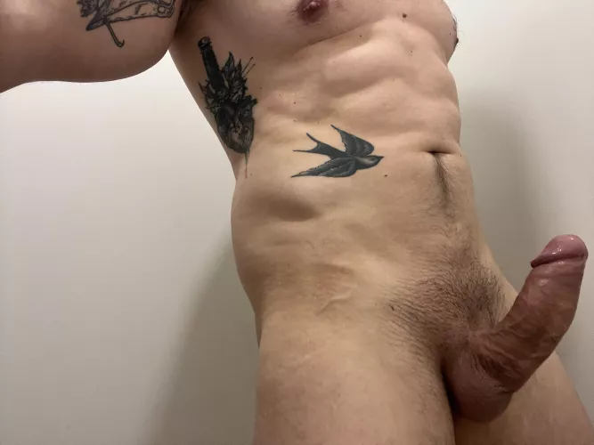 Raise your hand if you are into [37] fit dad